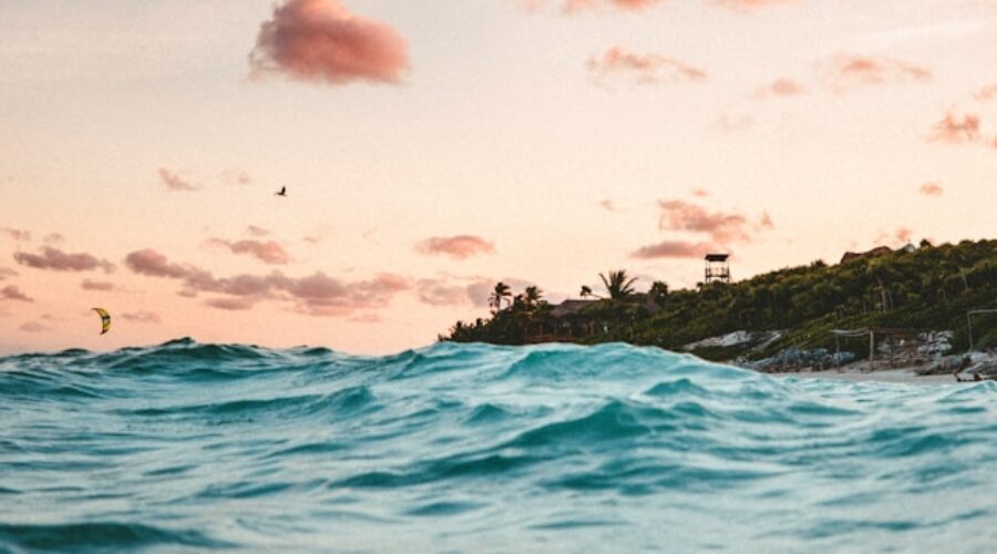 Unlock the Power of Wellness in the Heart of Riviera Maya